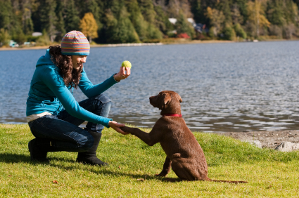 girl-training-a-dog.jpg