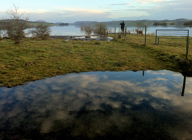 Man and Dog at Derravaragh - Photo by Fiona MacGinty