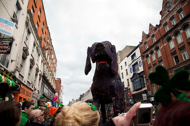 St Patrick's Day Dog 2011